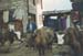 Nepal Namche Bazar 3 1993